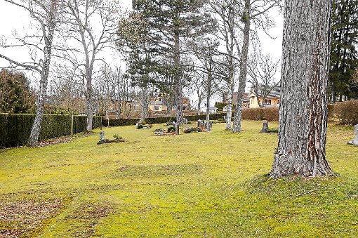 Am Fuß der großen Bäume im alten Friedhof in Locherhof sollen Baumgräber ermöglicht werden.  Foto: Ziechaus Foto: Schwarzwälder-Bote