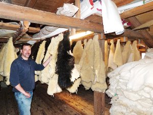 Auf dem Dachboden der Gerberei  hängt Besitzer Carl-Friedrich Trautwein Hunderte Fälle zum Trocknen auf. Foto: Danner Foto: Schwarzwälder-Bote