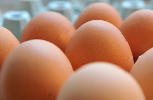 Laut Verbraucherministerium sind im Südwesten bislang keine falsch deklarierten Hühnereier aufgetaucht. Foto: dapd