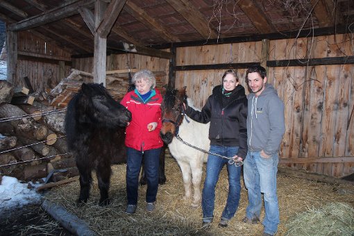 Ein Happy End gab es für die neun Ponys die in einem verwahrlosten Zustand in einem Hof zwischen Löffingen und Rötenbach vom Tierschutzverein gerettet wurden. Fünf dieser Ponys fanden in Unadingen nun eine gute neue Heimat.   Foto: Gerold Bächle Foto: Schwarzwälder-Bote