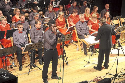 Beim Benefizkonzert begeisterte das Mundharmonika-Orchester das Publikum. Foto: Adrian Foto: Schwarzwälder-Bote