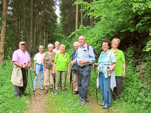 Auf ihrem Weg zur Schloßberghütte erkundeten die Haiterbacher Wanderer die Landschaft rund um Bad Teinach. Foto: SWV Foto: Schwarzwälder-Bote