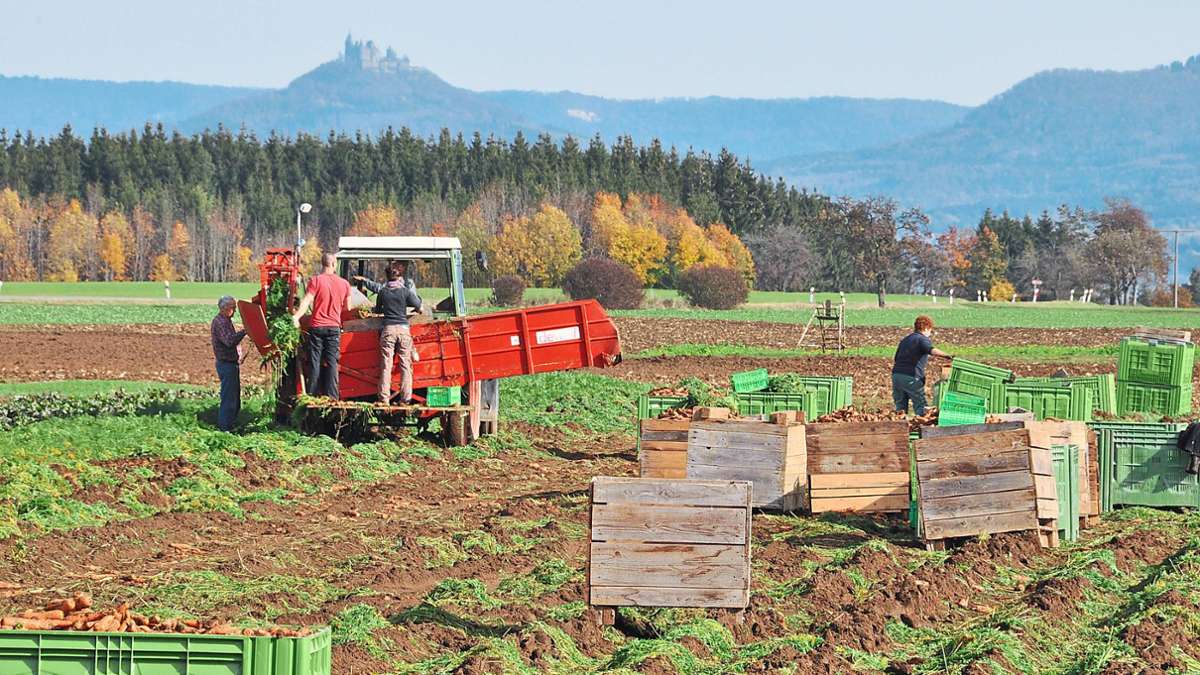 Öko-Branche geht kaputt: Bio-Landwirte und -Erzeuger im Zollernalbkreis unter Preisdruck