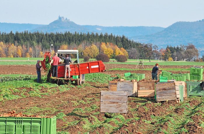 Öko-Branche geht kaputt: Bio-Landwirte und -Erzeuger im Zollernalbkreis unter Preisdruck