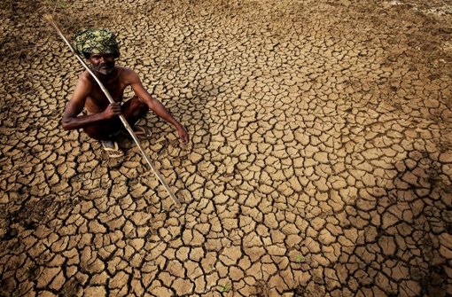 Die Hitzewelle in Indien hat bereits über 1000 Menschen das Leben gekostet. Foto: EPA