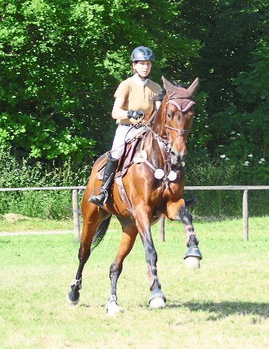 Zwei Tage lang ist am Wochenende auf der Anlage des RFV Gechingen Pferdesport total angesagt. Foto: Simmendinger Foto: Schwarzwälder-Bote