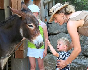 Zu den Stars des Familientages auf Kameldoc’s Tierfarm in Hochdorf zählte auch der Esel Ronja. Foto: Priestersbach
