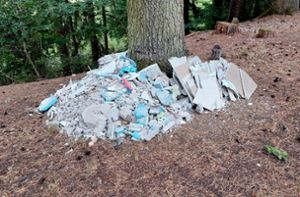 Diese und weitere Abladestellen von bedenklichem Müll wurden rund um Rottweil entdeckt Foto: Summerer