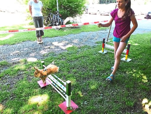 Die elfjährige Stella präsentiert mit ihrem Hasen den Sport Kanin-Hop. Fotos: Stocker Foto: Schwarzwälder-Bote