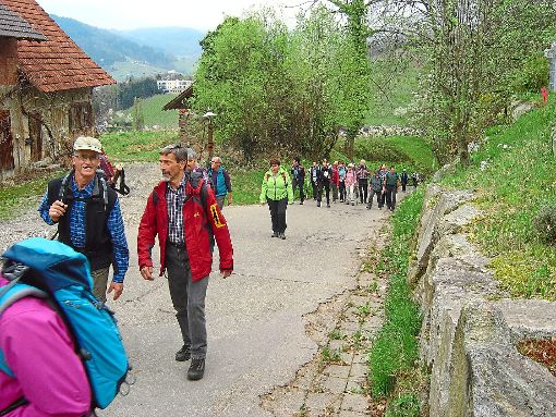 Der Alpenverein unternahm eine Tour von Kappelrodeck sowie von  Oberkirch nach Durbach im Ortenaukreis.  Foto: Schütte Foto: Schwarzwälder-Bote