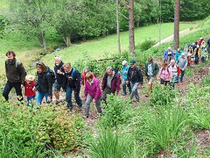 Der Heidelbeerweg in Enzklösterle wird voraussichtlich 2017 zertifiziert und soll viele Wanderer locken.  Foto: Ziegelbauer Foto: Schwarzwälder-Bote