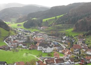 Die Gemeinde Mühlenbach wird vorerst nicht dem Landschaftserhaltungsverband beitreten.  Foto: Störr Foto: Schwarzwälder-Bote