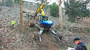 Mit dem Schreitbagger finden im Stadtgraben vorbereitende Baugrunduntersuchungen für die Landesgartenschau statt. Foto: Nädele