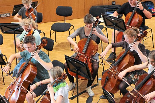 Auch Instrumenalensembles treten beim Regionalwettbewerb Jugend musiziert an. Foto: Jugendmusikschule Baiersbronn Foto: Schwarzwälder-Bote
