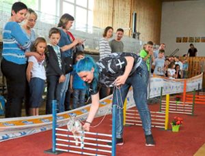 Der Kaninhop-Wettbewerb erwies sich beim Tag der offenen Tür im vergangenen Jahr als Publikums-Magnet. Archiv-Fotos: Priestersbach Foto: Schwarzwälder-Bote