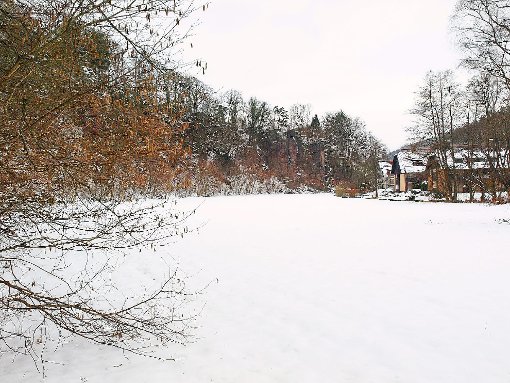 Grundstückserlös Falkenwiese lautet ein Tagesordnungspunkt der  Gemeinderatssitzung am Mittwochabend.  Foto: Glaser Foto: Schwarzwälder-Bote
