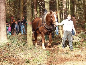 Speziell Kinder zeigten sich von der Baumrückearbeit mit Pferd Fanny fasziniert.  Foto: Frommann Foto: Schwarzwälder-Bote