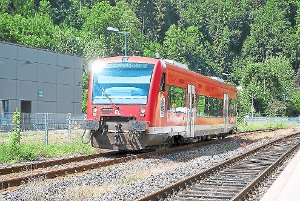 Ein solcher Triebwagen wird am 6. Dezember auf der Hesse-Bahn-Strecke unterwegs sein. Foto: Bernklau