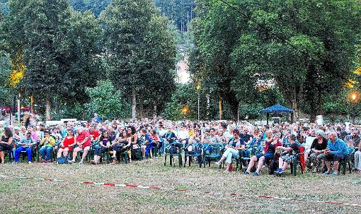 Das Open-Air-Kino, initiiert vom Jugendgemeinderat Bad Liebenzell, war im vergangenen Jahr ein großer Erfolg. Auch in diesem Jahr gibt es ein Open-Air-Kino. Foto: Archiv Foto: Schwarzwälder-Bote