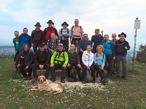 Sich ein Ziel gesetzt – und es gemeistert: die Gruppe des Villingendorfer Albvereins, die zwölf Tausender bestiegen hat.  Foto: Pfister Foto: Schwarzwälder-Bote