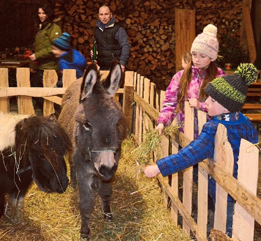 Das Pony ersetzt in der lebendigen Krippe bei der Hofweihnacht den Ochsen.  Foto: Heidepriem Foto: Schwarzwälder-Bote