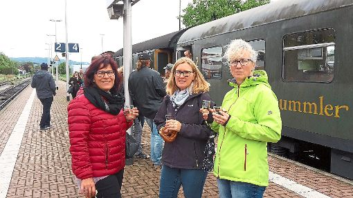 Die Übungsleiterinnen vom Turnverein machen einen Ausflug an den Kaiserstuhl nach Breisach am Rhein. Foto: Verein Foto: Schwarzwälder-Bote