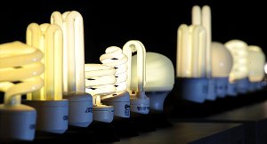 Energiesparlampen und LED-leuchten sollen einkommensschwachen Haushalten helfen, Geld zu sparen. Foto: Brakemeier Foto: Schwarzwälder-Bote