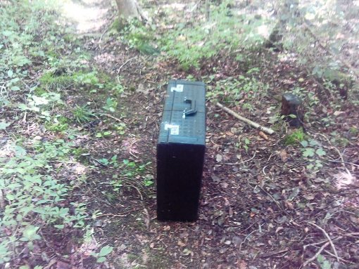 Ein Spaziergänger hat bei Ihlingen einen mysteriösen Fund gemacht. Foto: Straub