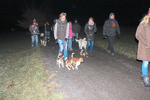 Mit Hunden durch die Nacht: Eine besondere Übung haben die Geislinger Hundefreunde organisiert.  Foto: Müller Foto: Schwarzwälder-Bote