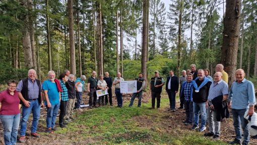 Beim Waldbegang im vergangenen Herbst informierte sich der Bad Wildbader Gemeinderat über die Zukunft des Stadtwaldes. Die war jetzt auch Thema im  Rat. Foto: Bernd Mutschler