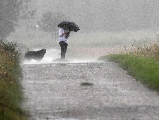 Beim Regen ist Wolfach vorne mit dabei. (Symbolfoto) Foto: dpa