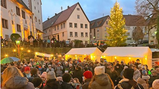 Das war was los: Die Dorfweihnacht in Rohrdorf zog viele Besucher an. Foto: Danisch