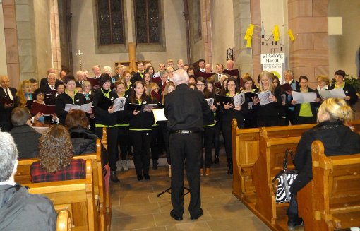 Beim  Kirchenkonzert sorgte eine stattliche Anzahl  Mitwirkender für einen beeindruckenden  Abend. Fotos: Haberstroh Foto: Schwarzwälder-Bote