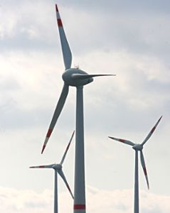 Über die geplanten Windräder am Roßberg informierte sich der Gemeinderat Foto: Förster Foto: Schwarzwälder-Bote