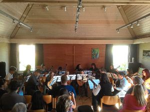 Lang anhaltender Applaus belohnt die Musiker. Foto: Musikschule Foto: Schwarzwälder-Bote