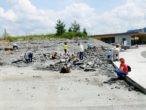 Nicht nur für Kinder eine Attraktion: Fossiliensuche auf dem  Klopfplatz des Schiefererlebnis-Parks in Dormettingen. Foto: Archiv Foto: Schwarzwälder-Bote
