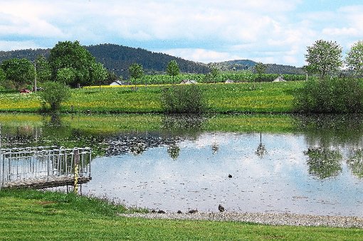 Der Ortschaftsrat bangt um den Erhalt vom Sunthausener See als Badegewässer, da bei einer vom Gesundheitsamt entnommenen Wasserprobe Kolibakterien gefunden wurden. Foto: Kaletta