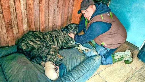 Jeremy Gaedke, Besitzer des Gnadenhofs in Appenweier, fand die Mutter der Hundewelpen nach dem zweiten Einbruch verletzt vor – sie wurde tierärztlich versorgt. Foto: Kornmeier/EinsatzReport24
