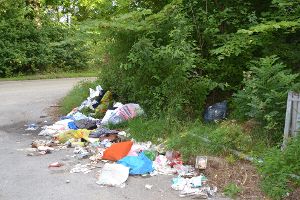 Ein Anblick, der Ärger bereitet: illegale Mülldeponie auf der Markung Villingen-Schwenningen.  Foto: Reinhardt