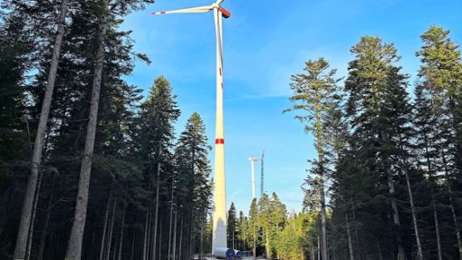 Im Bereich Hirschgarten/Langenbrander Höhe entsteht ein Windpark. Foto: BayWa r.e.