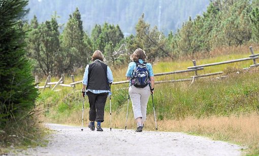 Frauen wandern am Ruhestein: Die Nationalparkverwaltung hat gestern eine erste Gliederung des rund 10 062 Hektar großen Nationalparks Schwarzwald vorgestellt. Foto: Kraufmann