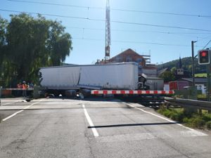 Bei einem Bahnunglück in Geisingen-Gutmadingen ist ein 26-jähriger Lkw-Fahrer gestorben. Foto: Blaulichtreport Rottweil