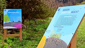 Text- und Bildtafeln informieren die Besucher auf dem Mellifera-Klimapfad in der Fischermühle. Foto: Mellifera/Leukhardt