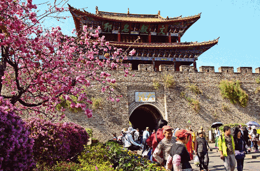 Das quirlige Dali ist so etwas wie das Rothenburg Yunnans: Unter blühenden Kirschbäumen schieben sich Tausende chinesischer Touristen durch die Gassen. Foto: Lerchenmüller