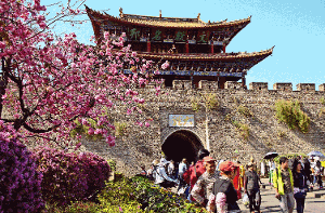Das quirlige Dali ist so etwas wie das Rothenburg Yunnans: Unter blühenden Kirschbäumen schieben sich Tausende chinesischer Touristen durch die Gassen. Foto: Lerchenmüller