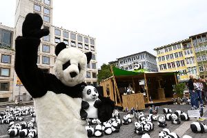 Mit 1600 Pandas und 72 Auerhähnen hat die Umweltschutzorganisation WWF auf dem Stuttgarter Marktplatz für den Nationalpark Nordschwarzwald geworben. Hier sind die Bilder vom tierischen Treiben in der Stuttgarter Innenstadt ... Foto: Benjamin Beytekin