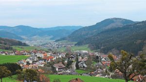 Kommunen wollen nicht in den Schwarzwald-Baar-Kreis