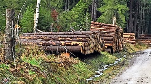 Das aufgereihte Holz ist verkauft und wird von den Kunden abgeholt. Doch im Mönchweiler Wald liegt noch  jede Mewnge Sturm- und Käferholz. Foto: Monika Hettich-Marull