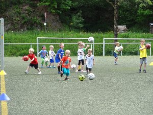 Wie die Großen durften die Kinder beim Sportclub in Kaltbrunn auf dem Kunstrasenplatz mit dem Fußball üben. Foto: SCK Foto: Schwarzwälder-Bote