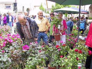Im Rahmen des Rosenzaubers mit dem Rosenmarkt (Bild) werden wieder die schönsten Gärten prämiert Archivfoto: May Foto: Schwarzwälder-Bote